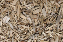biomass boilers Carzield